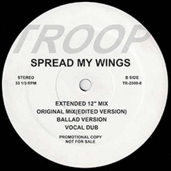 画像2: TROOP / SPREAD MY WINGS (7VER) [◎中古レア盤◎激レア！超少量生産！幻の7バージョン盤！] (2)