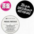 画像1: MICHAEL FORTUNATI / INTO THE NIGHT + 3曲 (原盤/レッドモンスターMIX) [◎中古レア盤◎激レア！希少音源！ジャパンREMIX！] (1)