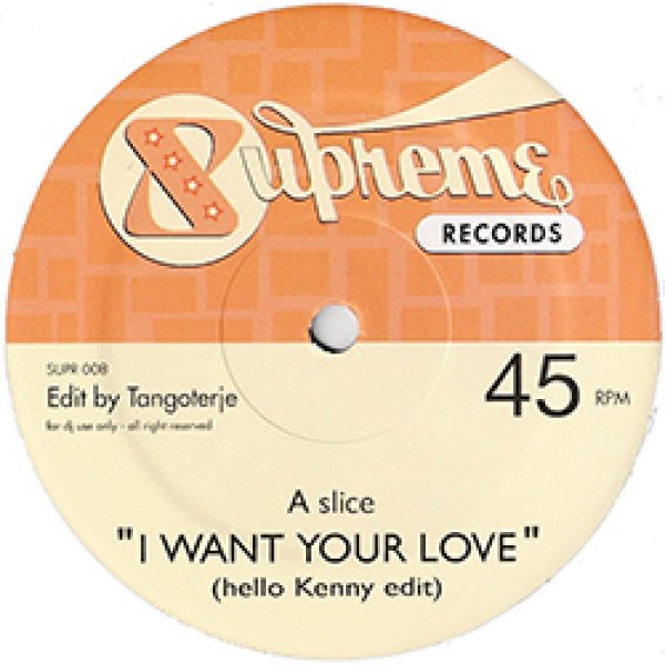 画像2: CHIC / I WANT YOUR LOVE (マル秘EDIT/全2曲) [◎中古レア盤◎激レア！少量生産！マル秘EDIT！TODD TERJE！] (2)