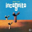 画像3: INCOGNITO / GIVIN IT UP (EUプロモ/REMIX) [◎中古レア盤◎激レア！マニア品！欧州プロモ原盤！] (3)