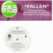 画像1: MYA / FALLEN (USプロモ/ファーサイドMIX) [◎中古レア盤◎お宝！本物のUSプロモオンリー原盤！人気REMIX！] (1)