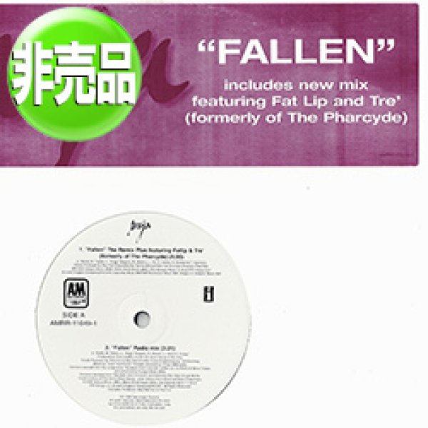 画像1: MYA / FALLEN (USプロモ/ファーサイドMIX) [◎中古レア盤◎お宝！本物のUSプロモオンリー原盤！人気REMIX！] (1)