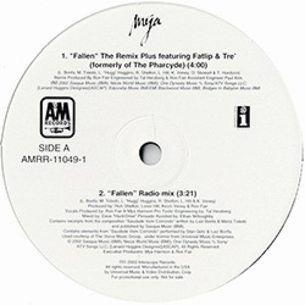 画像2: MYA / FALLEN (USプロモ/ファーサイドMIX) [◎中古レア盤◎お宝！本物のUSプロモオンリー原盤！人気REMIX！] (2)