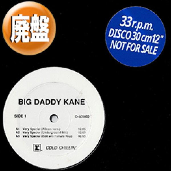 画像1: BIG DADDY KANE / VERY SPECIAL (REMIX) [◎中古レア盤◎お宝！メロウミドル最高峰！大ネタ！] (1)