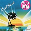 画像1: LAID BACK / SUNSHINE REGGAE & WHITE HORSE (カナダ原盤/12"MIX) [◎中古レア盤◎激レア！美品！珍しいカナダ原盤！ロングMIX！豪華2曲！] (1)
