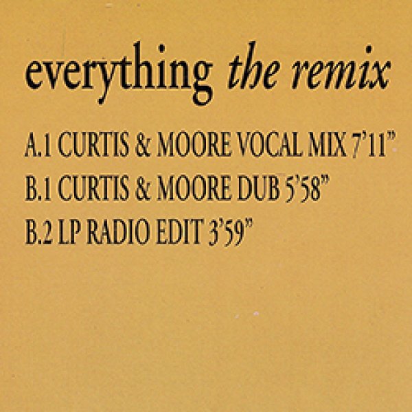 画像2: MARY J. BLIGE / EVERYTHING (伊原盤/REMIX) [◎中古レア盤◎激レア！飾りたい別ジャケ！「スキヤキ」使い！] (2)