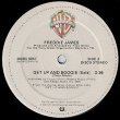 画像2: FREDDIE JAMES / GET UP AND BOOGIE (米原盤/12"MIX) [◎中古レア盤◎激レア！シュリンク&ステッカー付原盤！大HITデビュー曲！] (2)