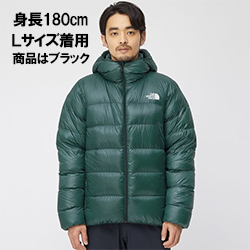 THE NORTH FACE Nuptse Hoodie ヌプシフーディ